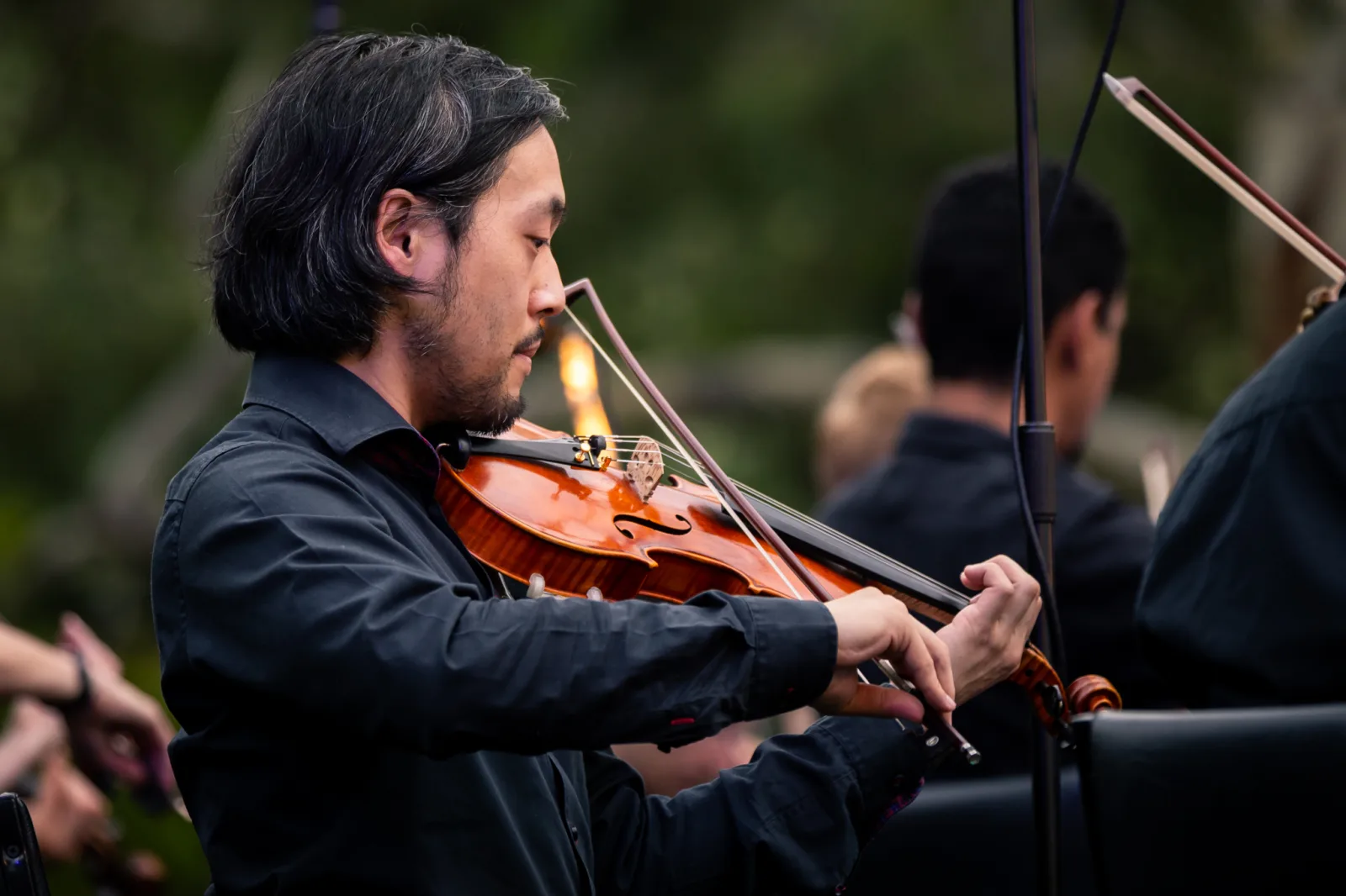 Mozart by Moonlight 2026