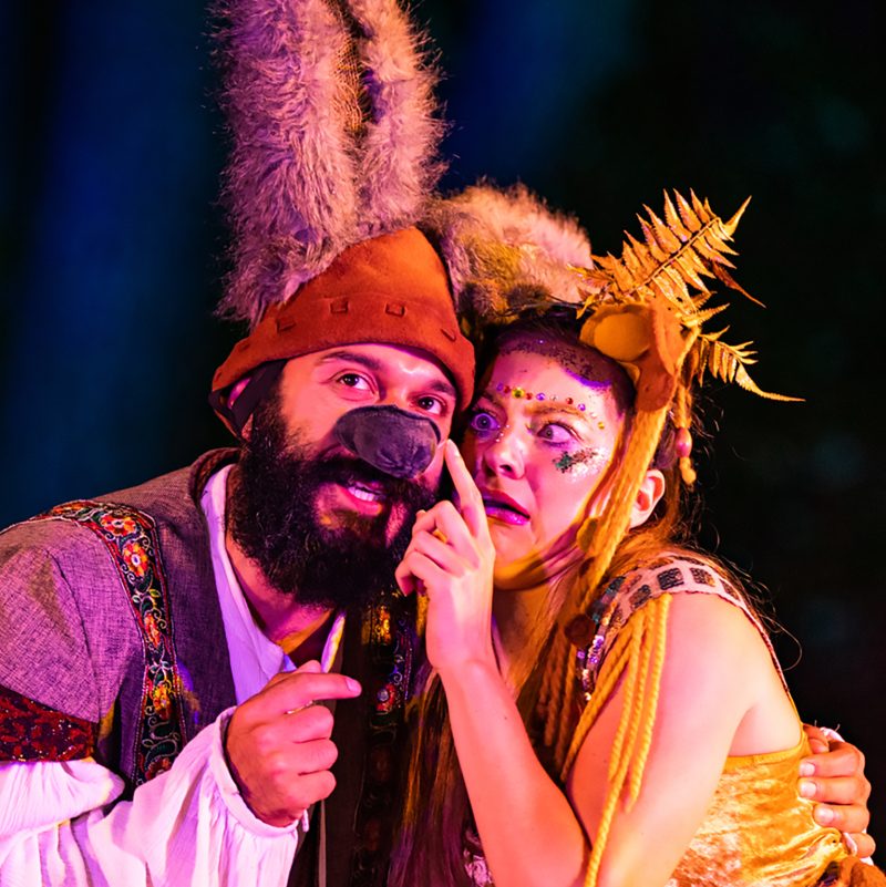 A Midsummer Night’s Dream