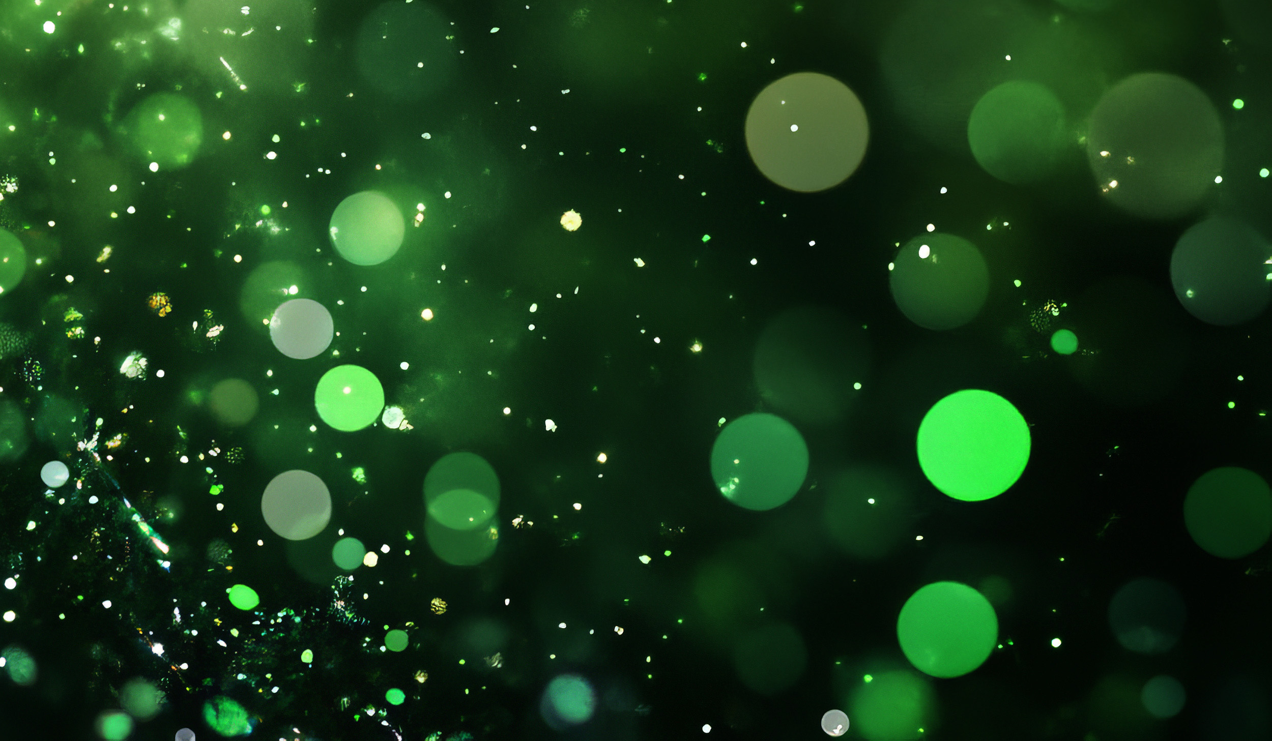 Tinkerbell and the Dream Fairies 2026 RipponLea